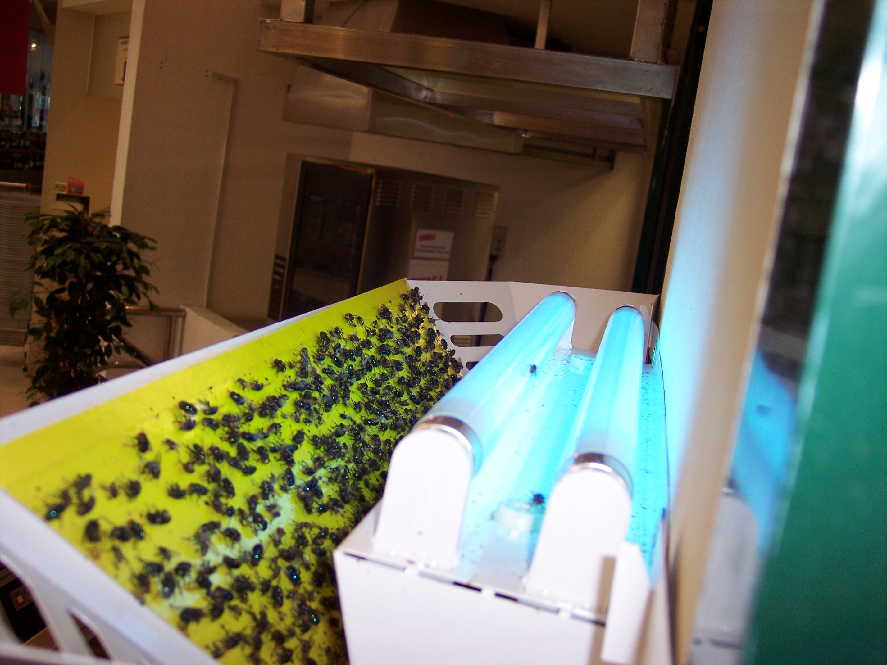 luralite-pro-catchrate-8