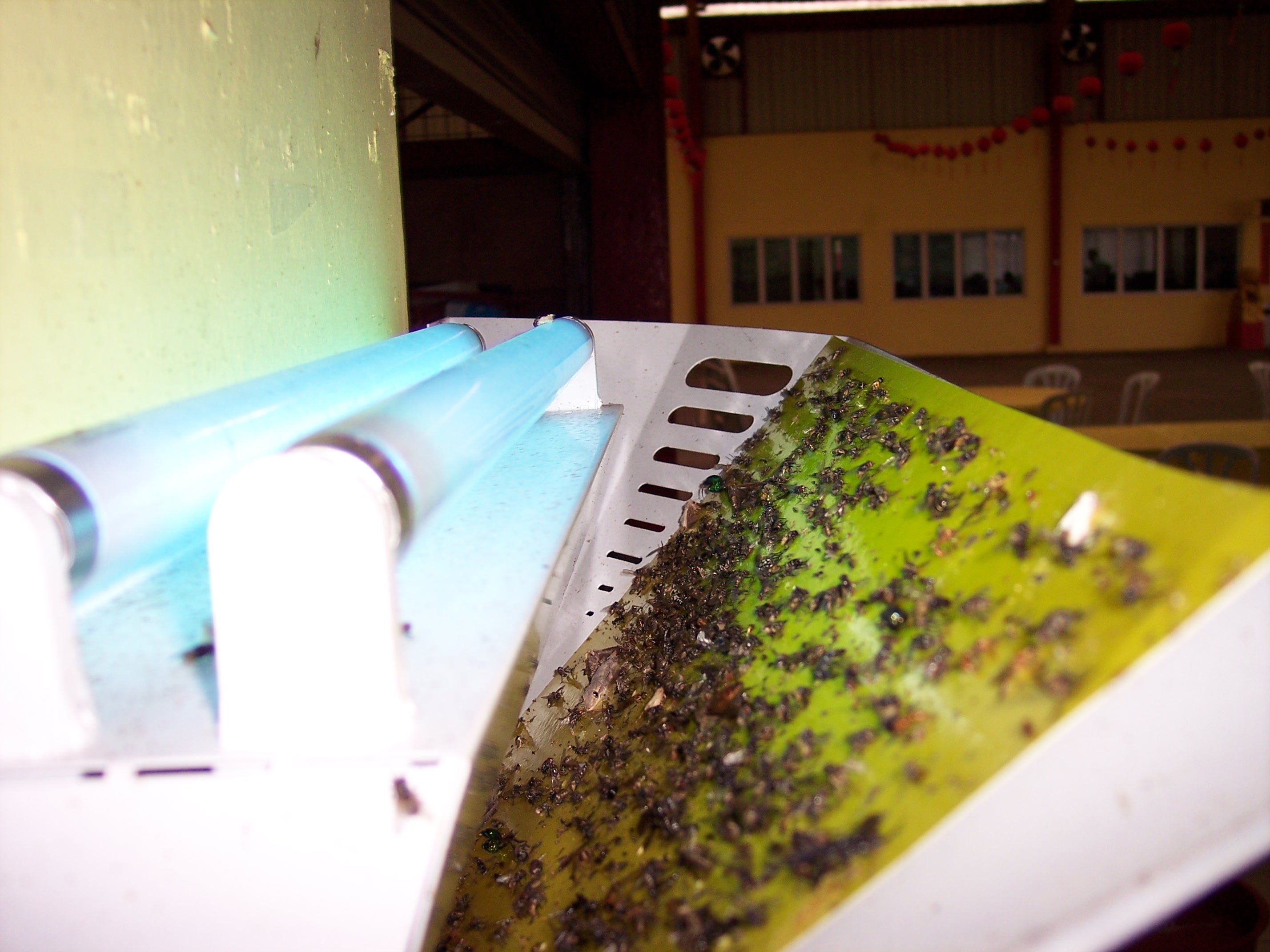 luralite-pro-catchrate-9