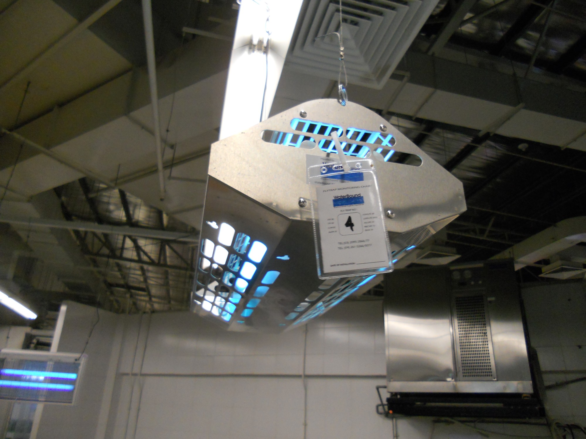 flytrap-80-mounted