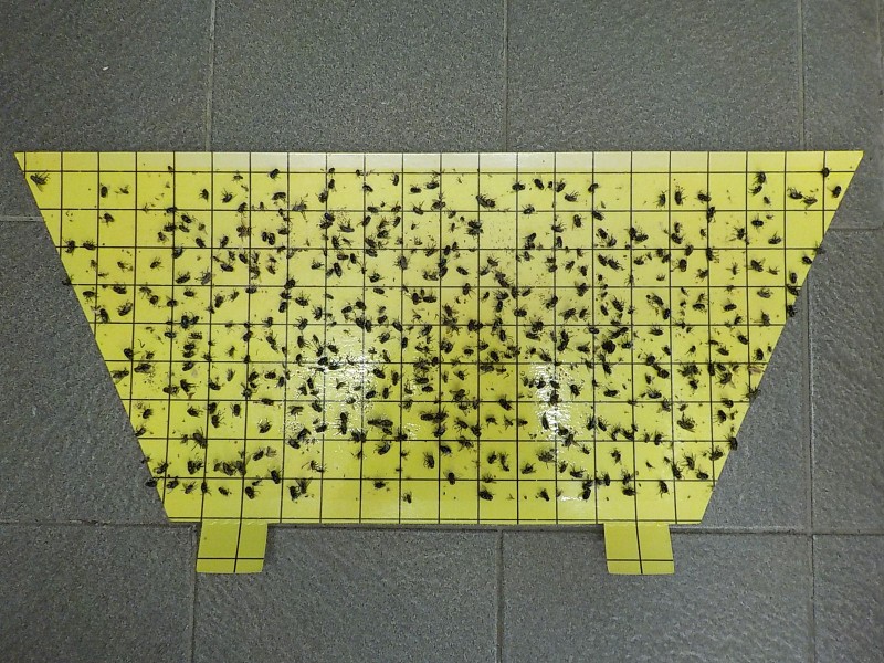 luralite-pro-catchrate-28