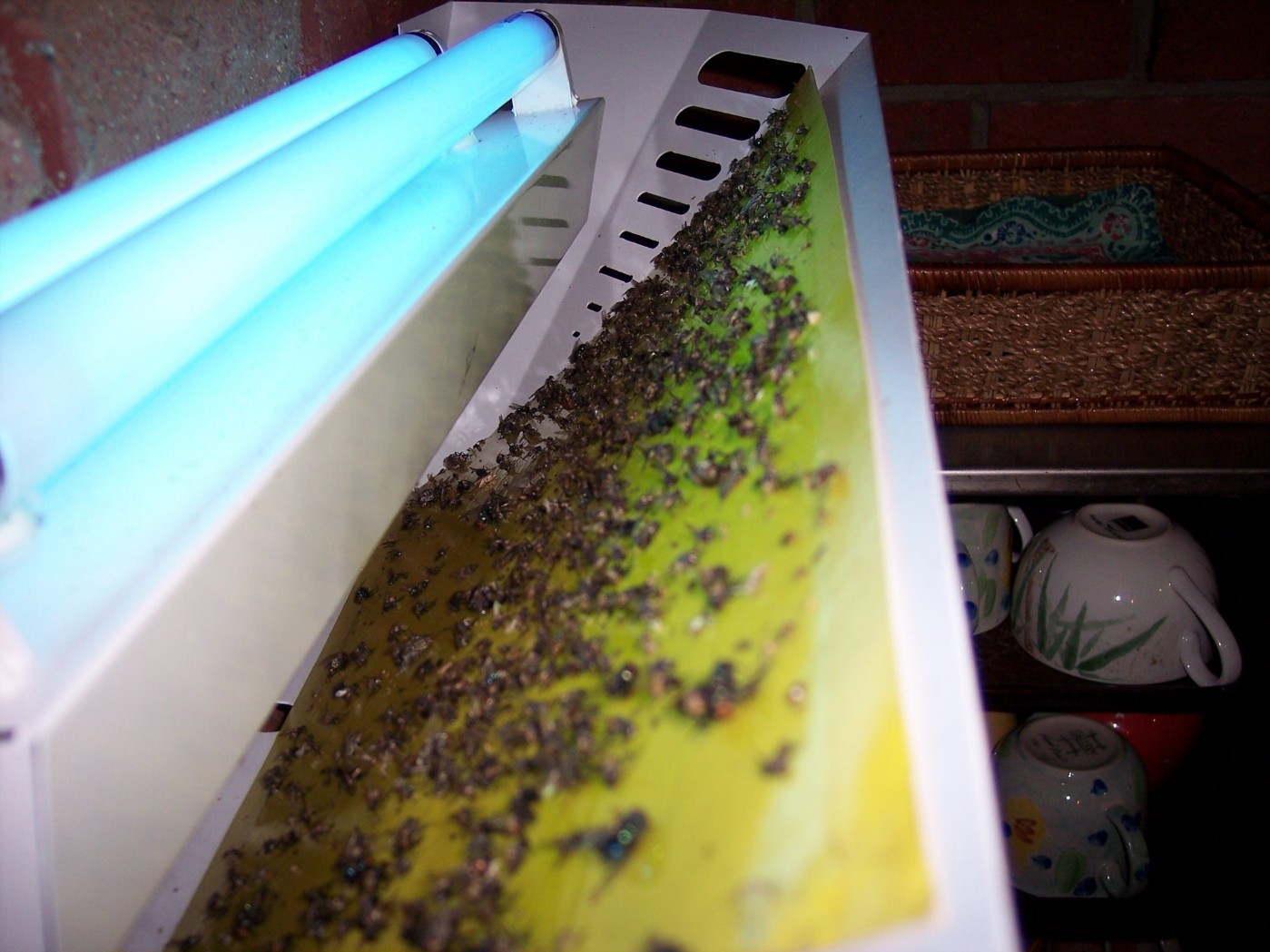 luralite-pro-catchrate-4