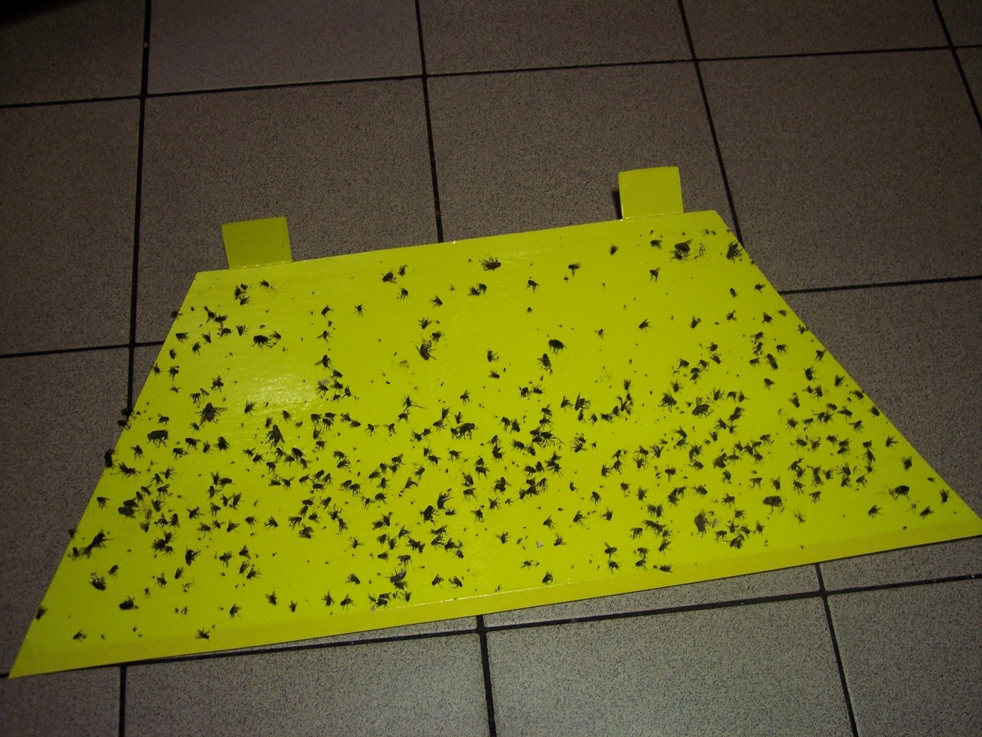 luralite-pro-catchrate-16