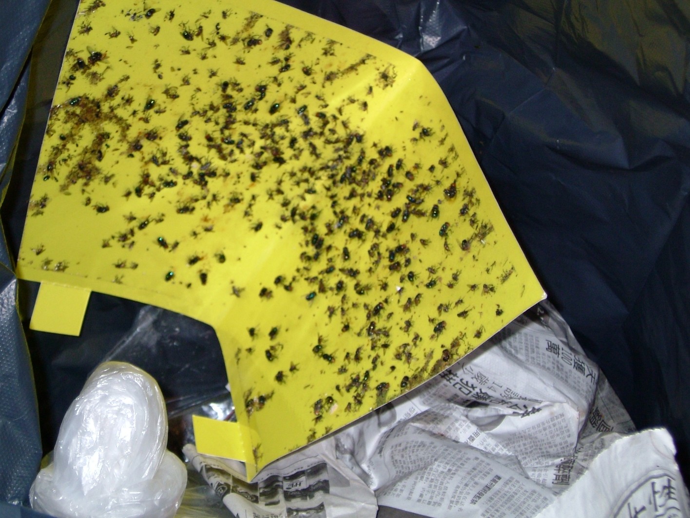 luralite-pro-catchrate-23