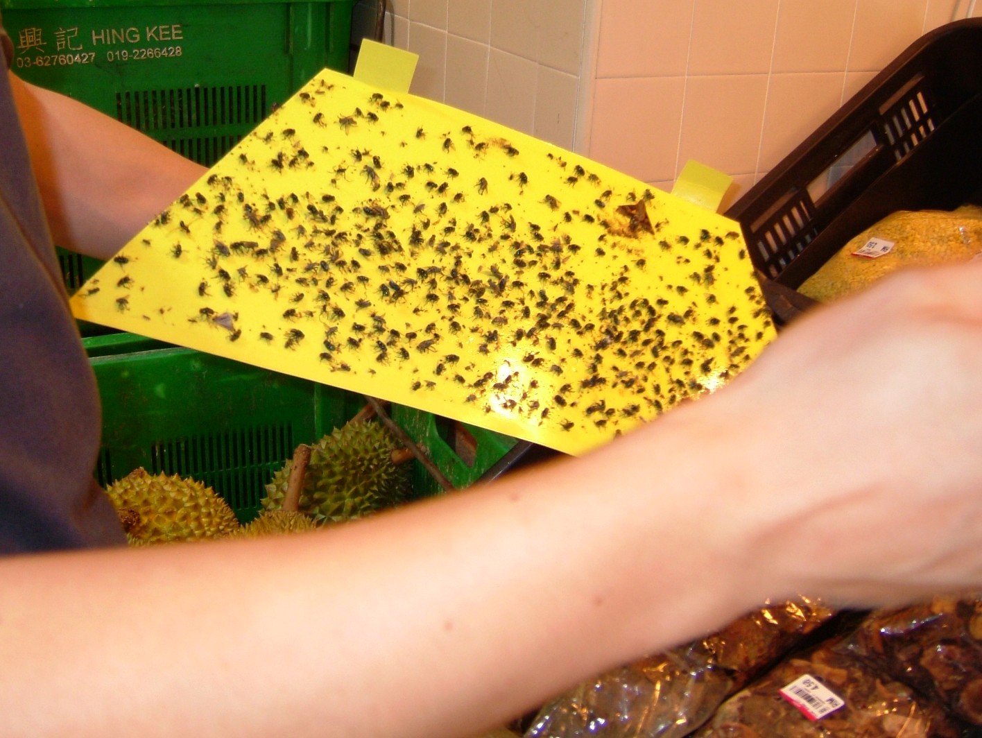 luralite-pro-catchrate-25